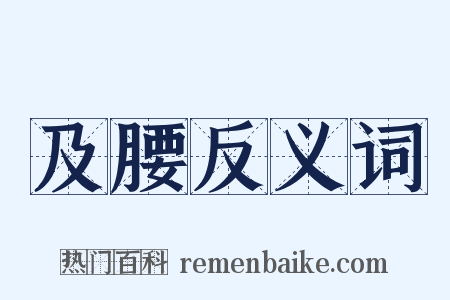 及腰反义词是什么意思的图片